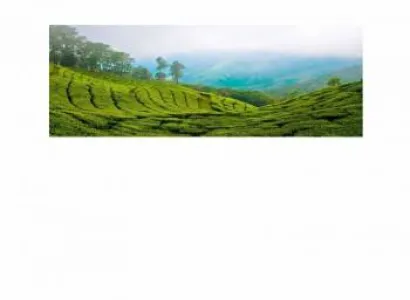 Glimpse of Munnar 1 N 2 D