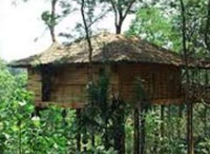 3 Days Periyar Tour with Treehouse