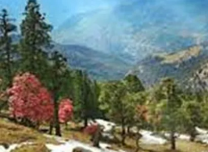 Best of Kumaon Hills Tour