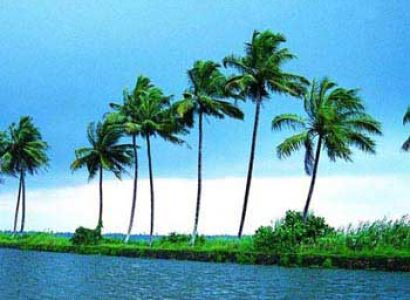 Cochin - Kumarakom Tour