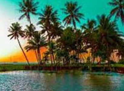 Cochin - Munnar - Kumarakam - Cochin Tour