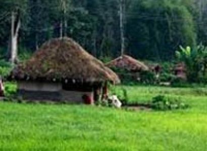 Short Escape to Wayanad Tour