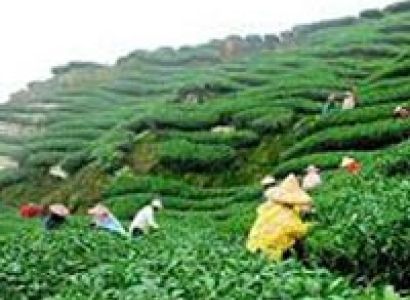 Guwahati with Shillong Tour