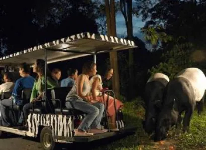 Singapore Surprise Packages