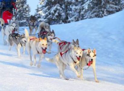 Europe - Finland Tour