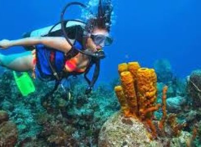 Andaman Adventure Tour
