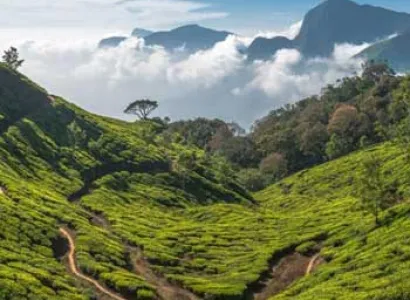 Cool Khangchendzongha Tour