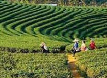 Sweet Eastern Himalaya Tour