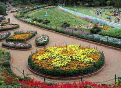 Ooty Hill Tour Package