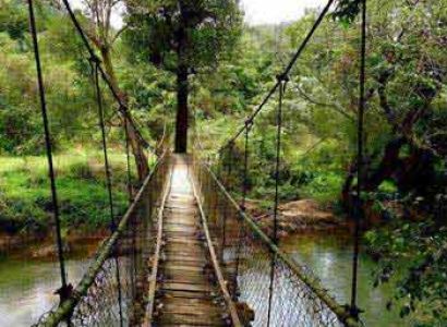 4 Blissful Days in Coorg Tour