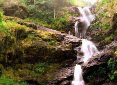Dreamy Coorg Tour Package