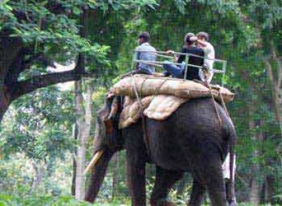 Magnificent Coorg Tour Package