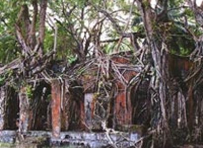 Ross Island Tour in Andaman