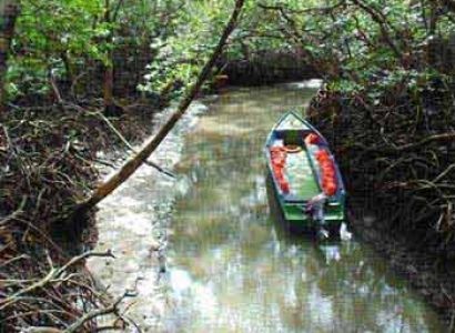 Mystery of Centuries in Andaman (LTC) Package