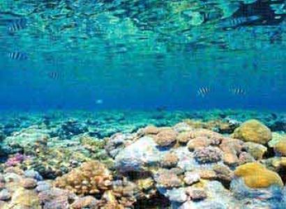 Easy Escape Andaman Tour