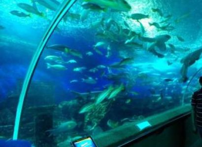 Sensational Singapore Tour