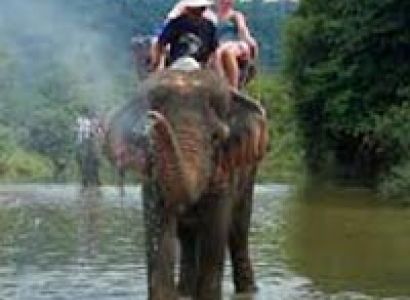 3 Nights/ 4 Days Andaman Honeymoon Trip Tour