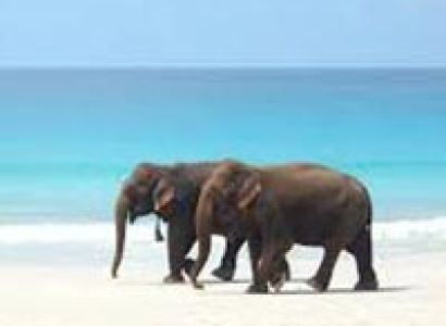 Romantic Andaman Package