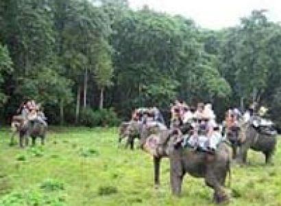 Chitwan Tour Package