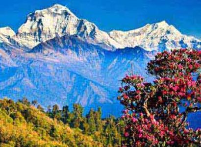 The Best of Nepal Package