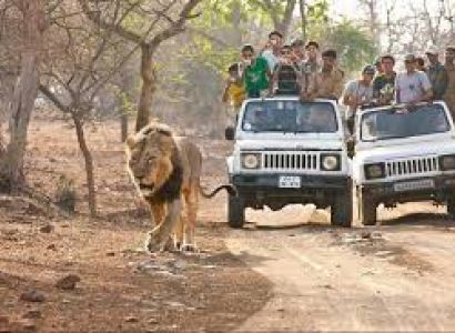Ahmedabad with Sasan Gir Tour