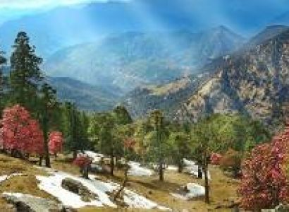 Nainital Kausani Ranikhet Tour Package