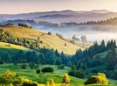 South India Hill Safari Tour