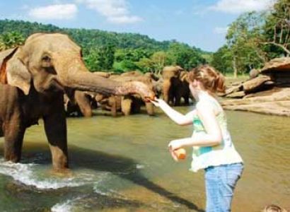 Amazing Sri Lanka Holiday Package 4 Nights / 5 Days