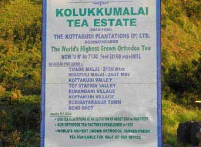 Kolukkumalai Jeep Safari Tour