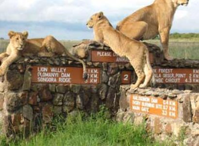 1 Day Budget Tour Nairobi