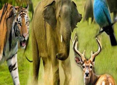 Uttarakhand Holiday Packages