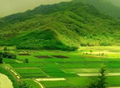 Coorg Package Tour from Bangalore By Bus Tour