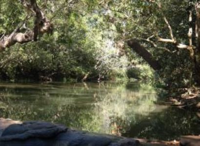 Mysore, Coorg , Ooty Tour