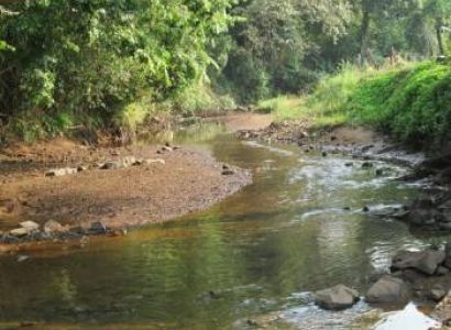 Mysore-Coorg Madikeri Tour