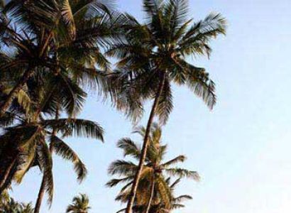 Beach Holiday, Goa Package