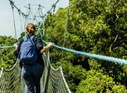 2 Days Nyungwe Forest National Park