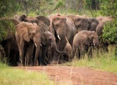 2 Days At Akagera National Park