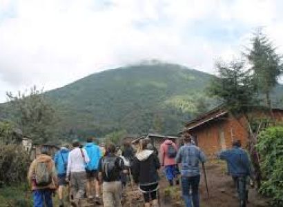 1 Day Bisoke Hike Experience