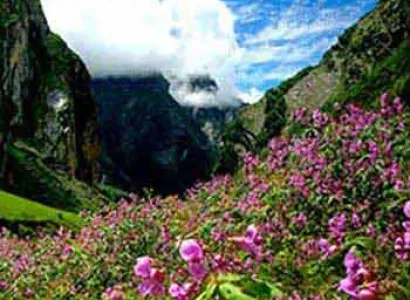 Valley of Flowers Fixed Departure Tour