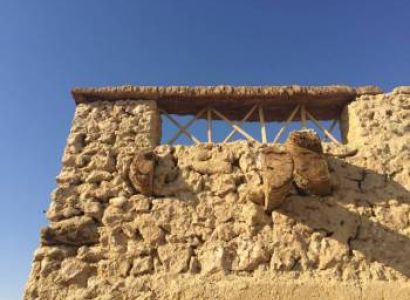 Best of Siwa Oasis Tour