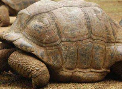 La Vanille Nature Park