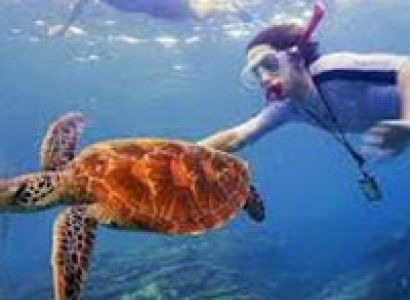 Best Andaman Package