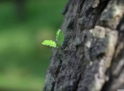 Leh Ladak and Kashmir Tour