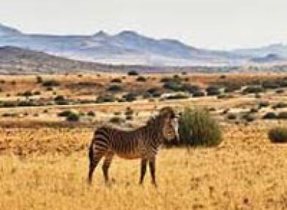 7 Days Circuit Budget Safari Lake Nakuru,Maasai Mara,Isebania,Serengeti and Ngorongoro Crater Packag