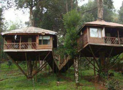 Wayanad Tour with Vythiri Treehouse