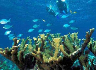 Andaman Tour Package