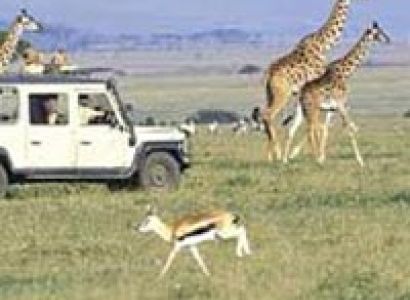 Wildlife Tour of Kenya