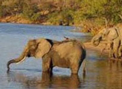 Delightful South Africa Tour