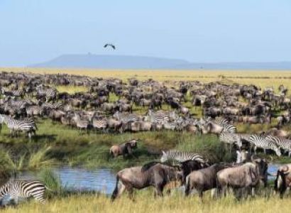 3 Days Camping Safari Tour