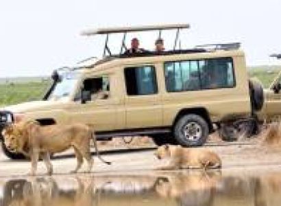 4 Days / 3 nights Tanzania Safari to Tarangire, Serengeti and Ngorongoro Crater